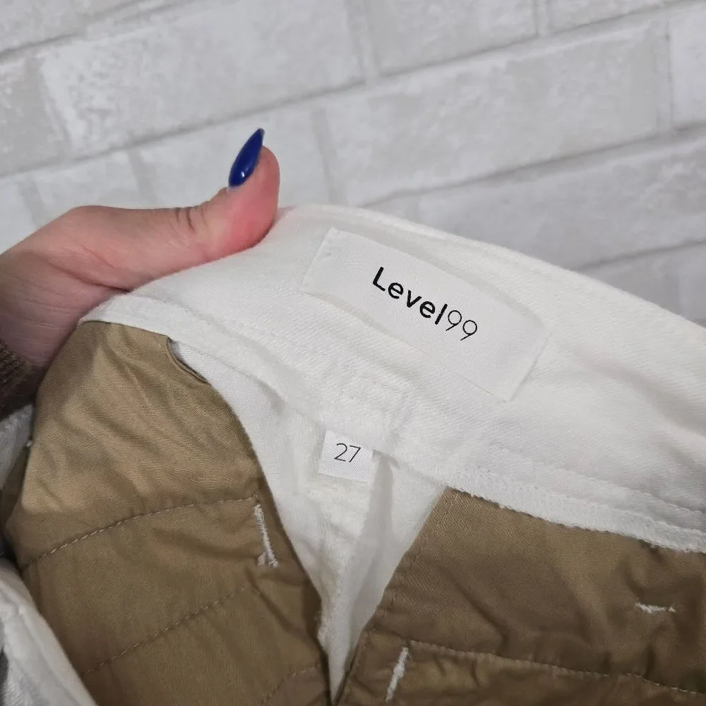 Level 99 linen blend pants